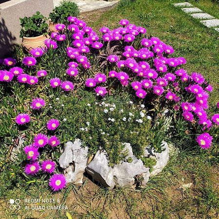 Apartmani Skopac Rabac Zimmer foto