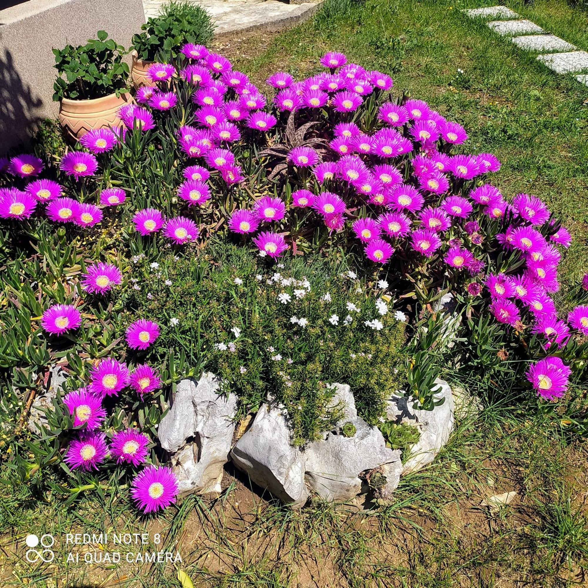 Apartmani Skopac Rabac Zimmer foto
